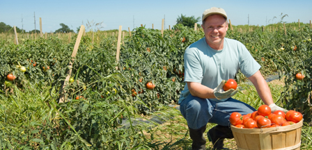 Actu - Fermier et tomates, politique agricole