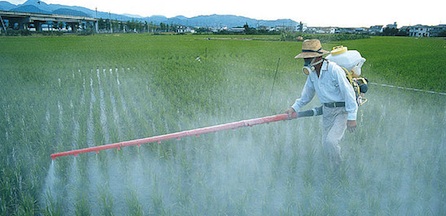 Actu - Pesticides 2