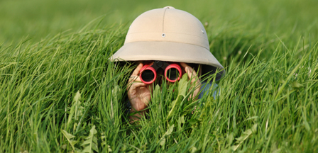 Actu - Pesticides, enfant espionnant dans l'herbe