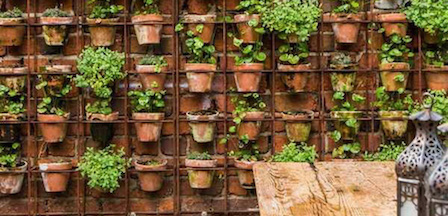 vertical-pot-garden_448x216.jpg